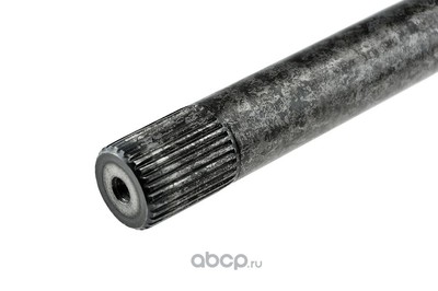  (NTY) NWPNS016 (,  5)