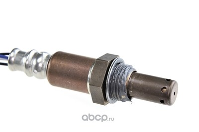 - (NTY) ESLTY018 (,  1)