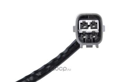 - (NTY) ESLTY018 (,  3)