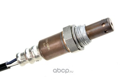 - (NTY) ESLNS022 (,  1)