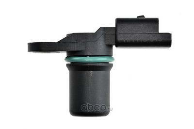    (NTY) ECPNS013 (,  2)