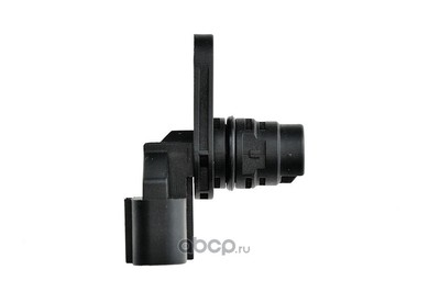    (NTY) ECPHY008 (,  3)