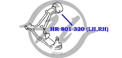     ,  (Hanse) HR801320 (,  1)