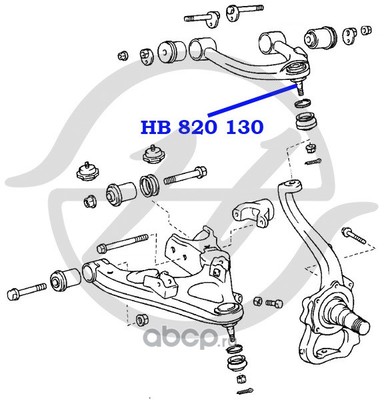  .. . (Hanse) HB820130 (,  1)