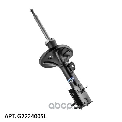   (BORT) G22254005L (,  1)