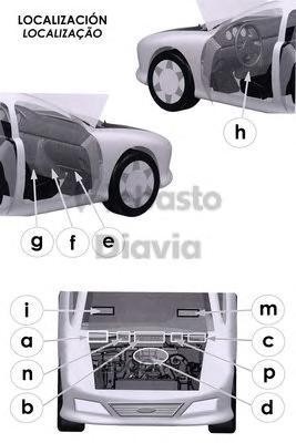   (WEBASTO) 82D0325223A (,  1)