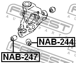    (Febest) NAB247 (,  1)