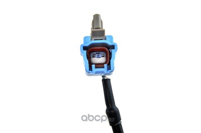    (NTY) HCANS020 (,  1)