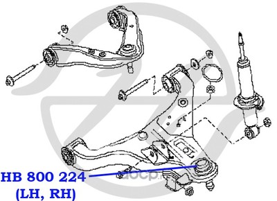       (Hanse) HB800224 (,  1)