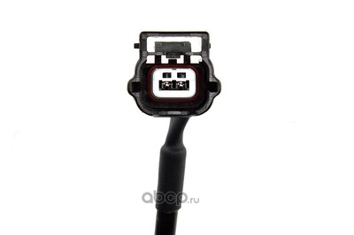    (NTY) HCANS119 (,  1)