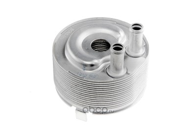  (NTY) CCLNS001 (,  1)