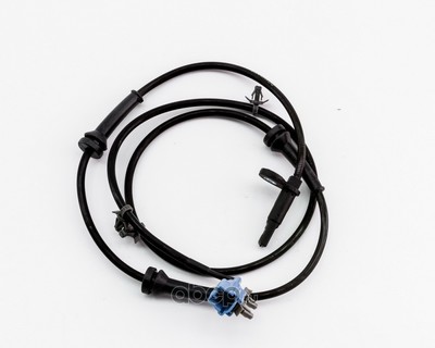     (DOMINANT) NS470901CA000 (,  1)