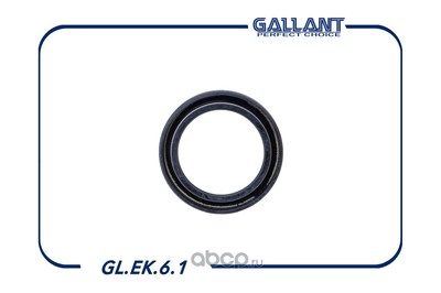   (Gallant) GLEK61 (,  1)