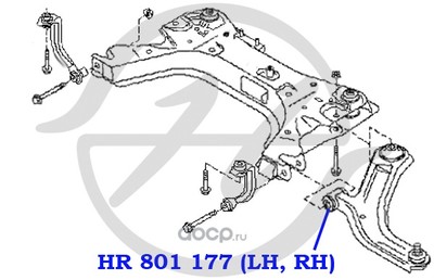      (Hanse) HR801177 (,  1)