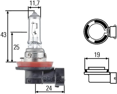   hella h11 pgj19-2 12v 55w 1  (HELLA) 8GH008358121 (,  1)