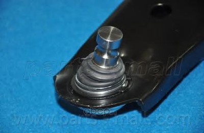   (Parts-Mall) PXCAA032LR (,  6)