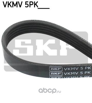  (Skf) VKMV5PK1199