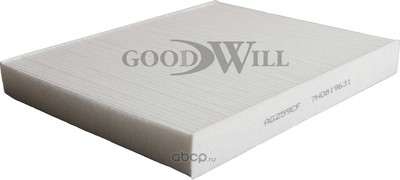   (Goodwill) AG259CF