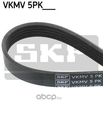   (Skf) VKMV5PK1815
