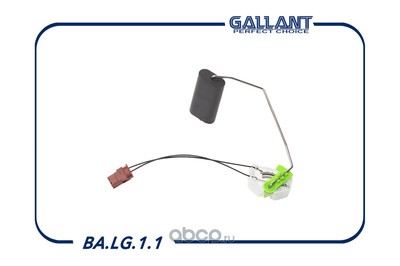    (Gallant) BALG11