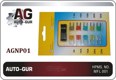     5 30 (Auto-GUR) AGNP01