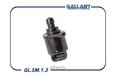     (Gallant) GLSM13
