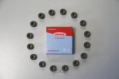   - (Corteco) 19036100