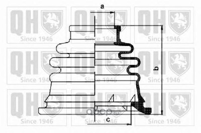   (QUINTON HAZELL) QJB1126