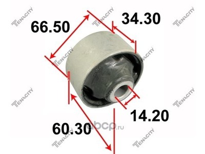     (Tenacity) AAMHY1003