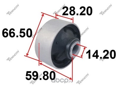     (Tenacity) AAMHY1008