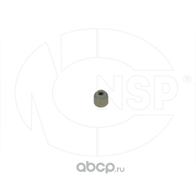   (NSP) NSP02222242B001