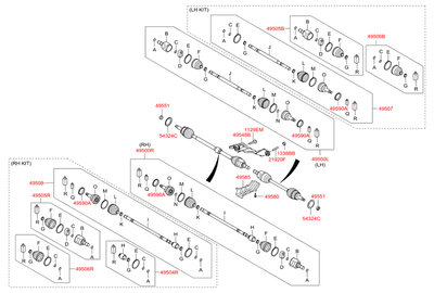    (Hyundai-KIA) 495261R101