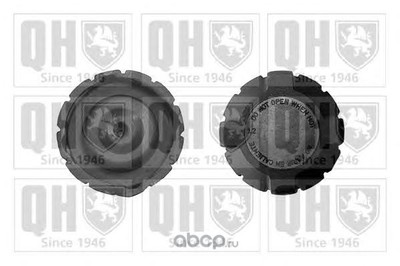 ,  (QUINTON HAZELL) FC509