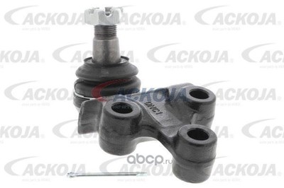  /   (ACKOJAP) A531130