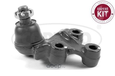  /   (CORTECO) 49395759