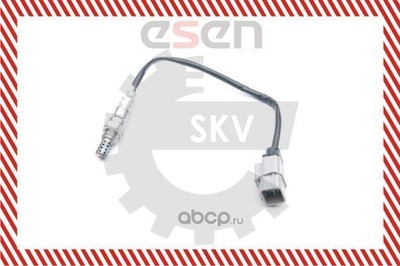 - (ESEN) 09SKV732