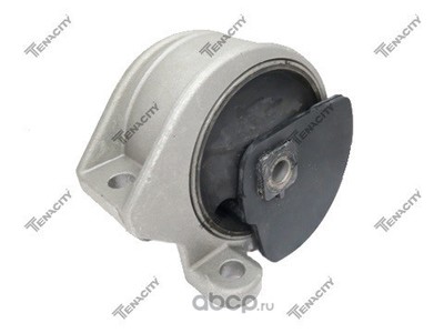   (Tenacity) AWSNI1063