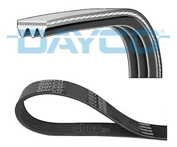   (Dayco) 3PK815