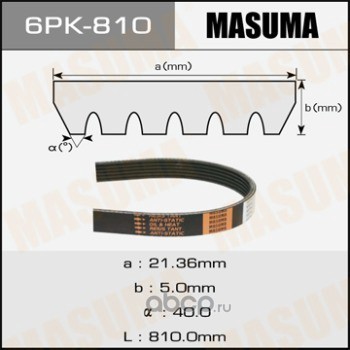   (MASUMA) 6PK810