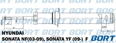   /  (BORT) G41545020 ()