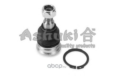  /   (ASHUKI) 14645050