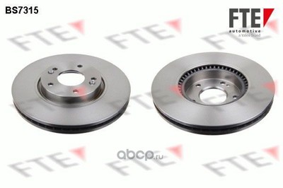   (FTE Automotive) BS7315