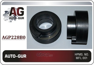     (Auto-GUR) AGP228B0