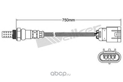 Лямбда-зонд (WALKER PRODUCTS) 25024707 Лямбда-зонд (WALKER PRODUCTS) 25024707