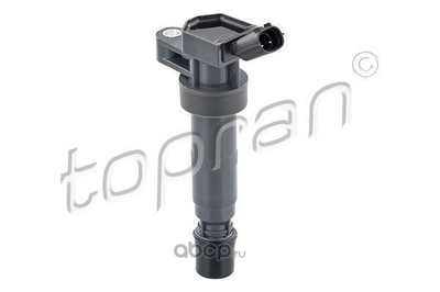   (topran) 821495