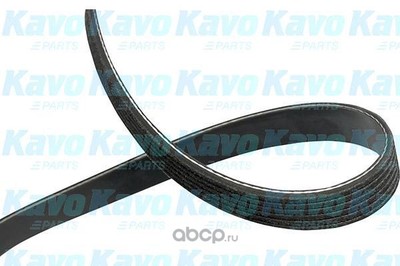   (kavo parts) DMV3055