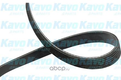   (kavo parts) DMV3051