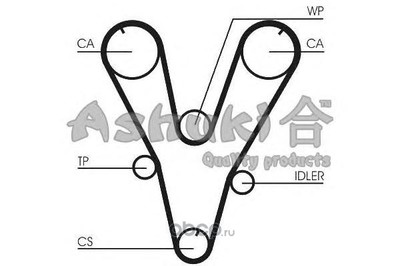   (ASHUKI) 03361130