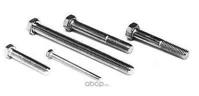 ����, ������� ������� (Eco-Autofamily) 258616 (����)