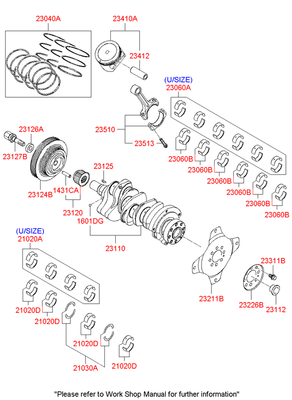     (6) (Hyundai-KIA) 2306037230